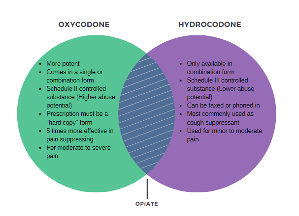 Oxycodone v Hydrocodone